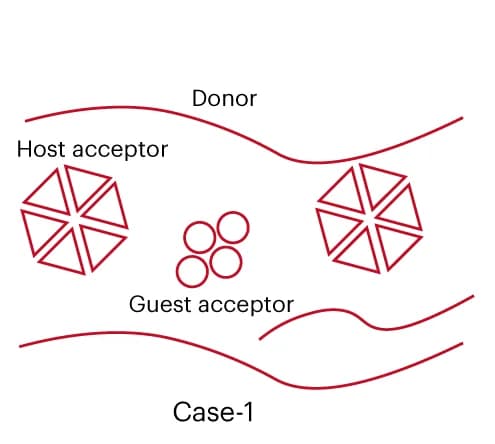 Open access visualization of Illustration, Morphology, Guest Component, Host Binary Blends, TOSCs