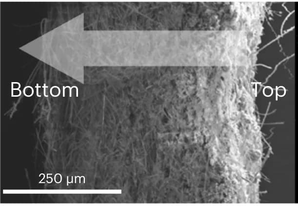 Open access visualization of Microscopy, Photo, SEM image, Au60s/TiO2 membrane