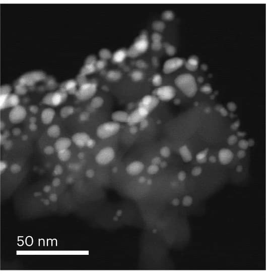 Open access visualization of Microscopy, STEM-HAADF image, Au60s/TiO2