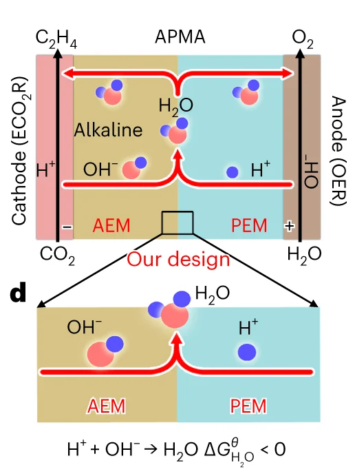 Open access visualization of Workflow, Illustration, APMA System