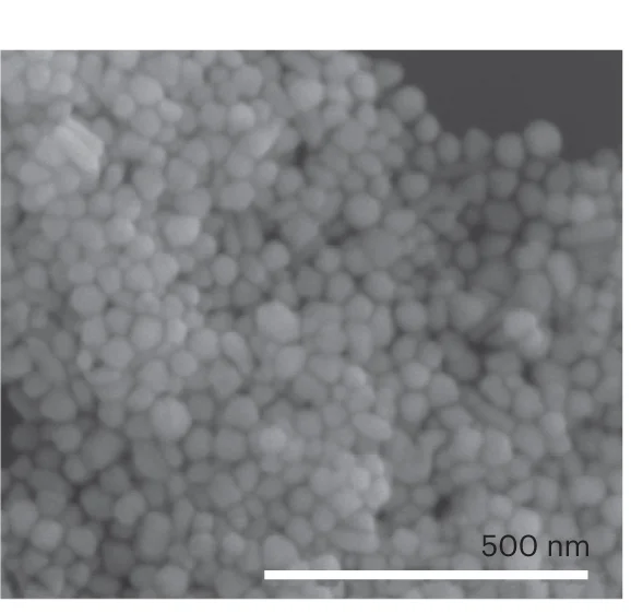Open access visualization of Microscopy, Scanning Electron Microscopy, SS-Cu