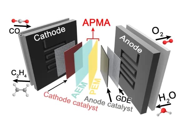 Open access visualization of Workflow, Illustration, APMA-MEA System, ECO2R, System Architecture