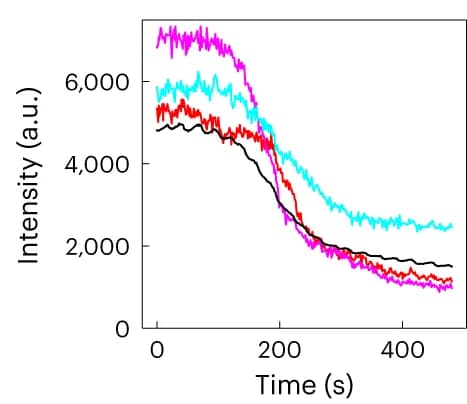 Open access visualization of Line Plot, Photoluminescence Intensity, Light Soaking