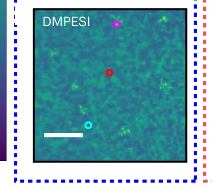 Open access visualization of Microscopy, Hyperspectral Photoluminescence Microscopy, FAPbI 3, DMPESI Treated Films, Photoluminescence Intensity Map