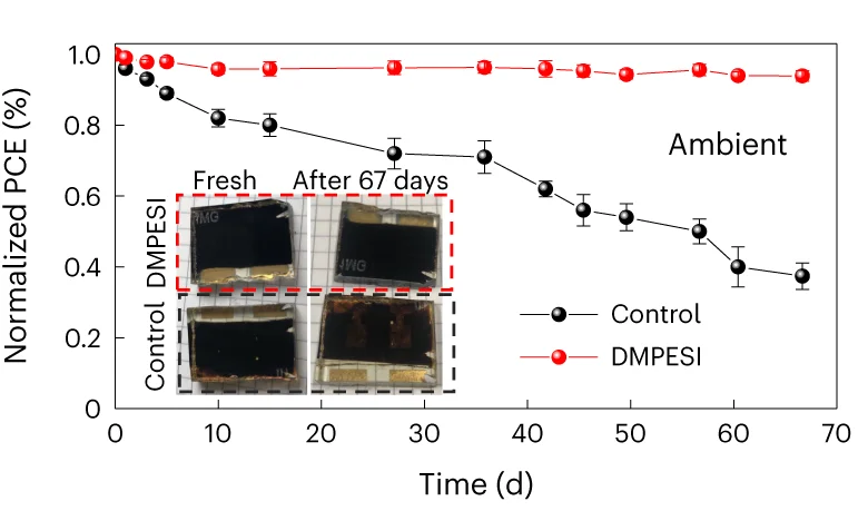 Open access visualization of Line Plot, Error Bars, Photo, Shelf Stability, PSCs