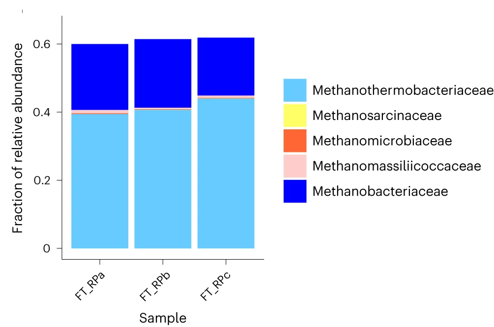 Open access visualization of Stacked Bar Plot, Active Methanogens, Family Level, Total RNA, Brine