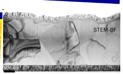 Open access visualization of Microscopy, STEM-BF Image