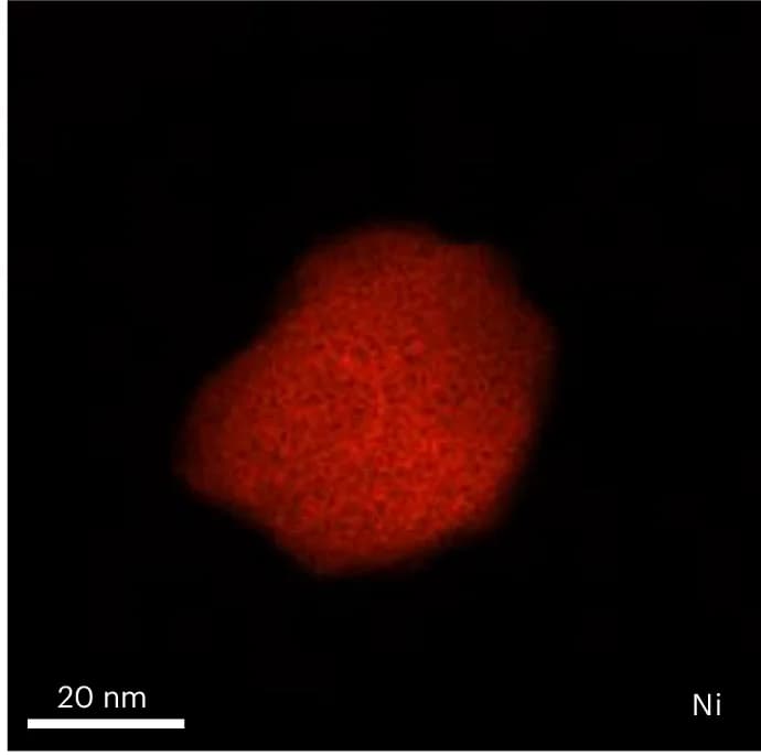 Open access visualization of Microscopy, ADF-STEM, EELS, Elemental Maps, Nickel