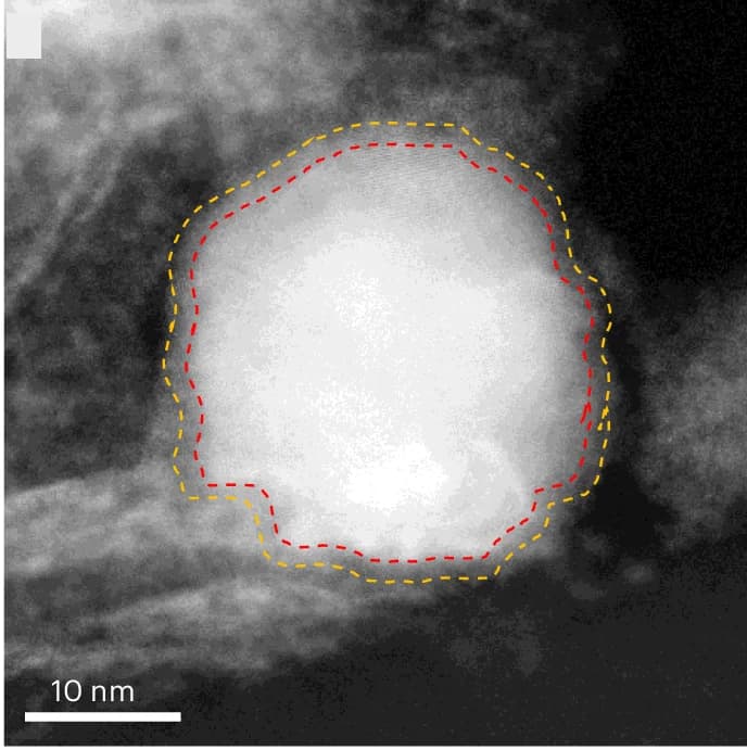 Open access visualization of Microscopy, ADF-STEM, Nickel Nanoparticle, Interface, Ni@C-MoO x