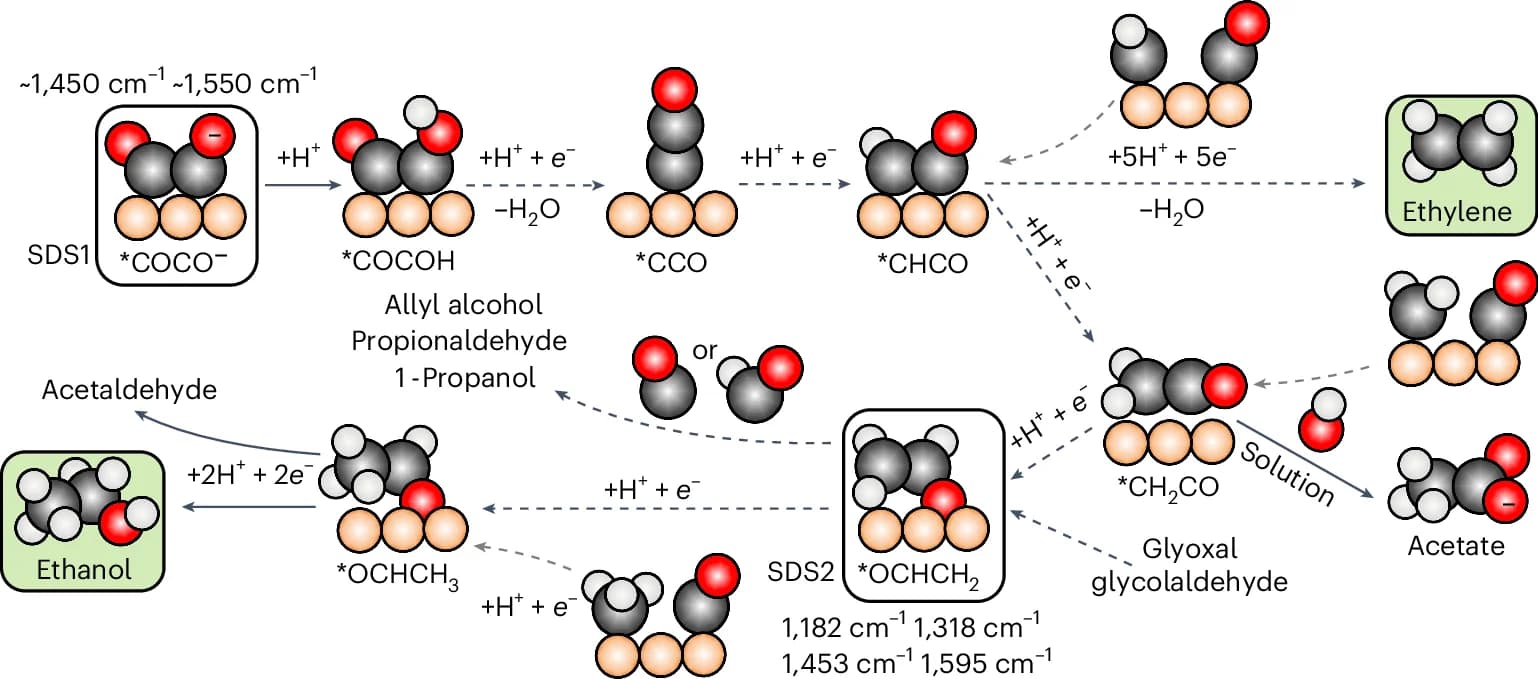 Open access visualization of Workflow, Flowchart, Chemical Structure, Reaction Scheme, Ethylene