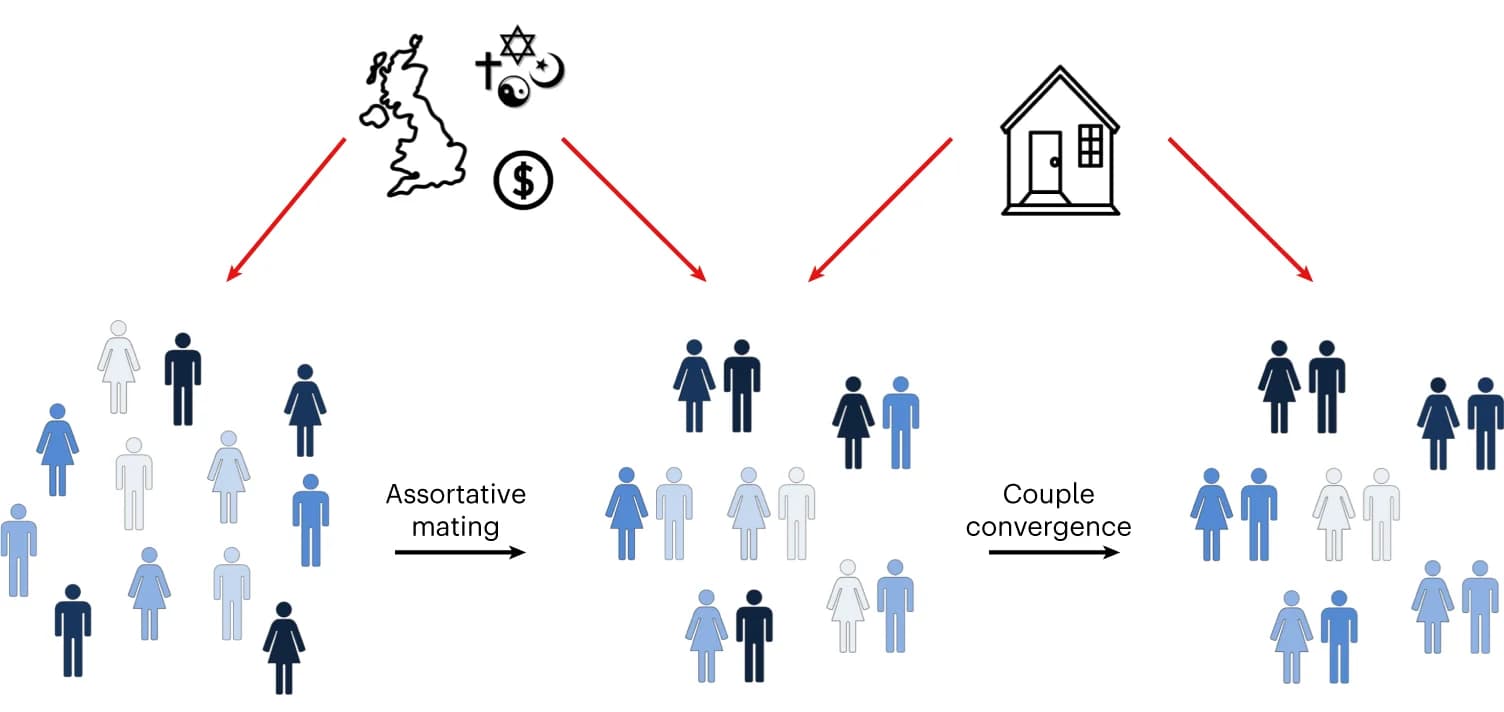 Open access visualization of Workflow, Illustration, Mate Choice, Cultural Status, Socioeconomic Measures