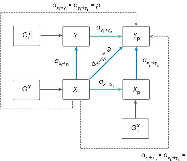 Open access visualization of Workflow, Flowchart, Causal network, Two traits, Causal paths