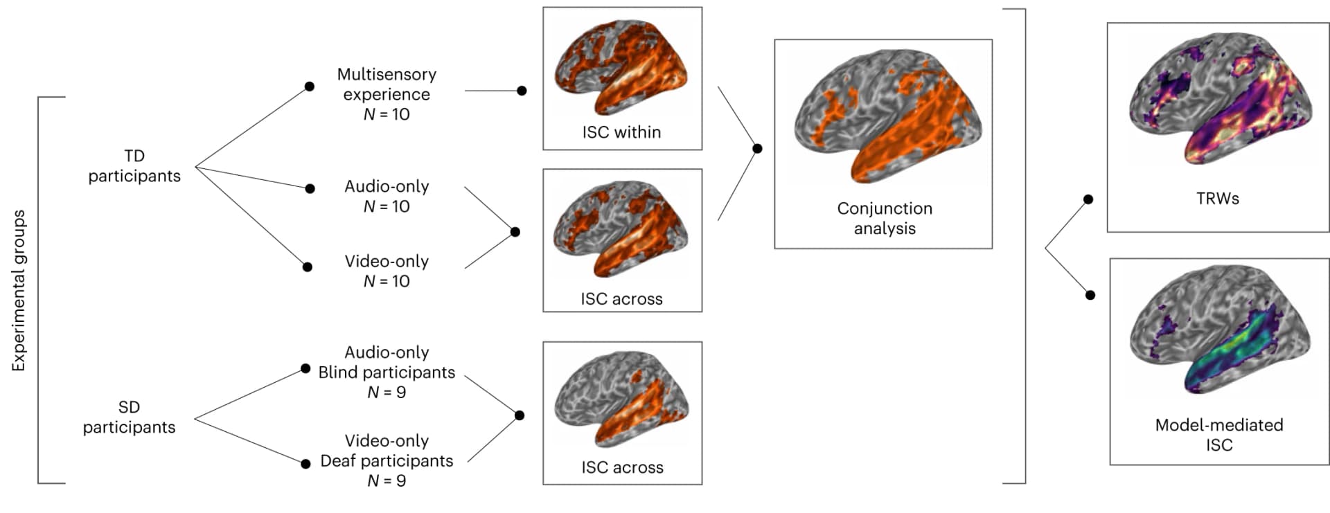 Open access visualization of Workflow, Illustration, 3D Plot, Audiovisual Stimulus, Multisensory Information