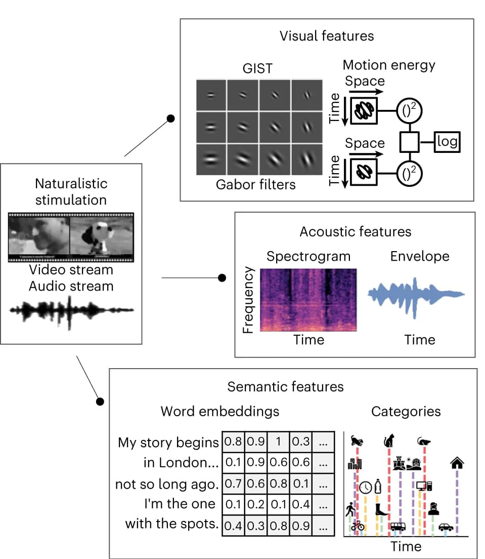 Open access visualization of Workflow, Spectrogram, Line Plot, Heatmap, Computational Modelling