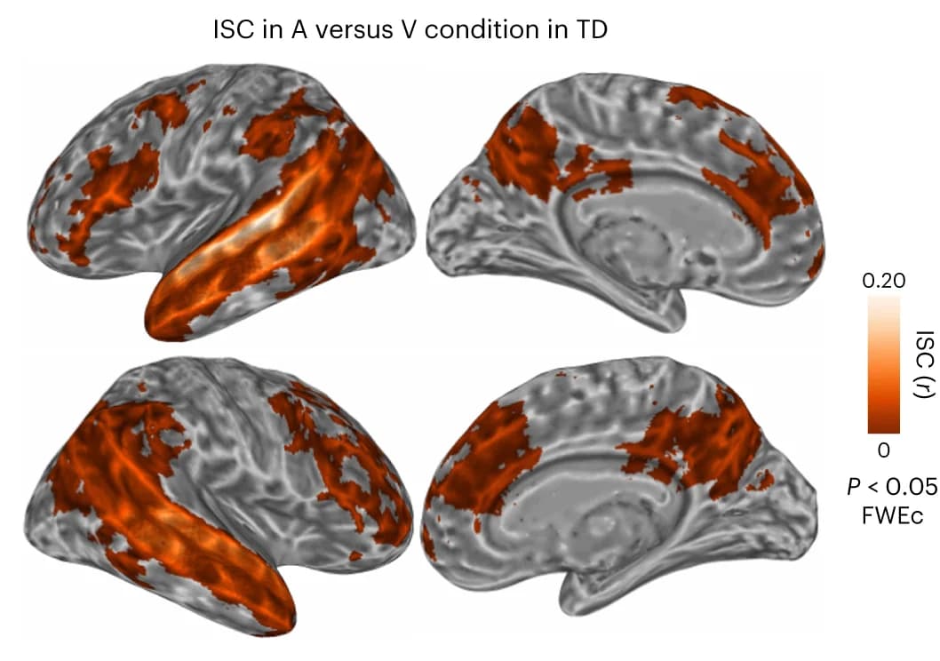 Open access visualization of 3D Plot, Protein Structure, ISC, TD Participants, A versus V Conditions