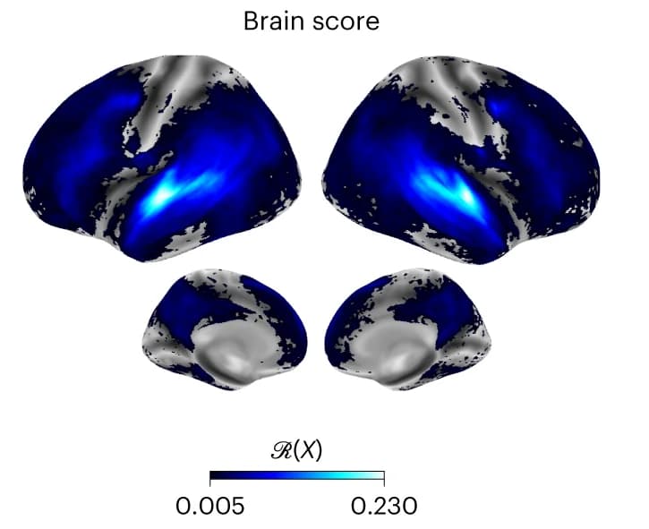 Open access visualization of Heatmap, Brain Score, GPT-2, Voxel, Individuals