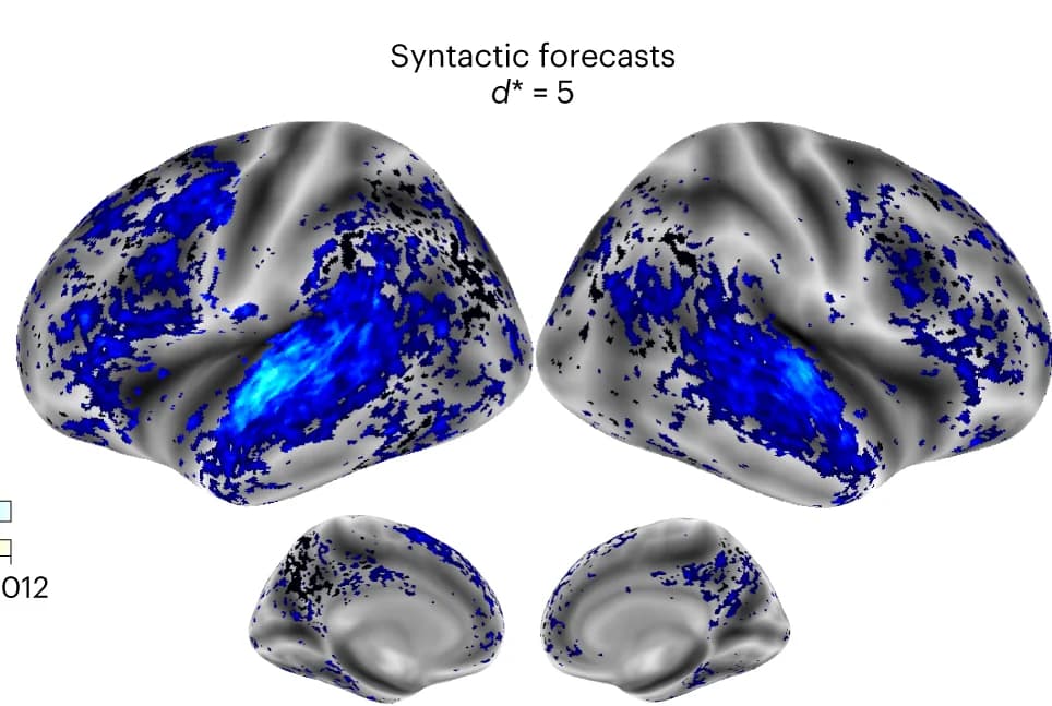 Open access visualization of 3D Plot, Syntactic forecast scores, Voxel, Significant voxels