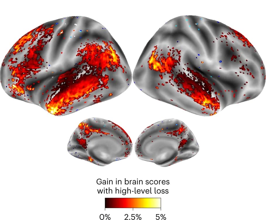 Open access visualization of 3D Plot, Protein Structure, GPT-2, Language Modelling, Brain Scores