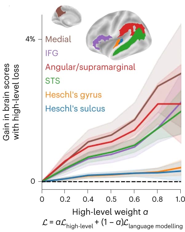 Open access visualization of Line Plot, Error Bars, Brain Score Gain, High-Level Weight, Language Modelling