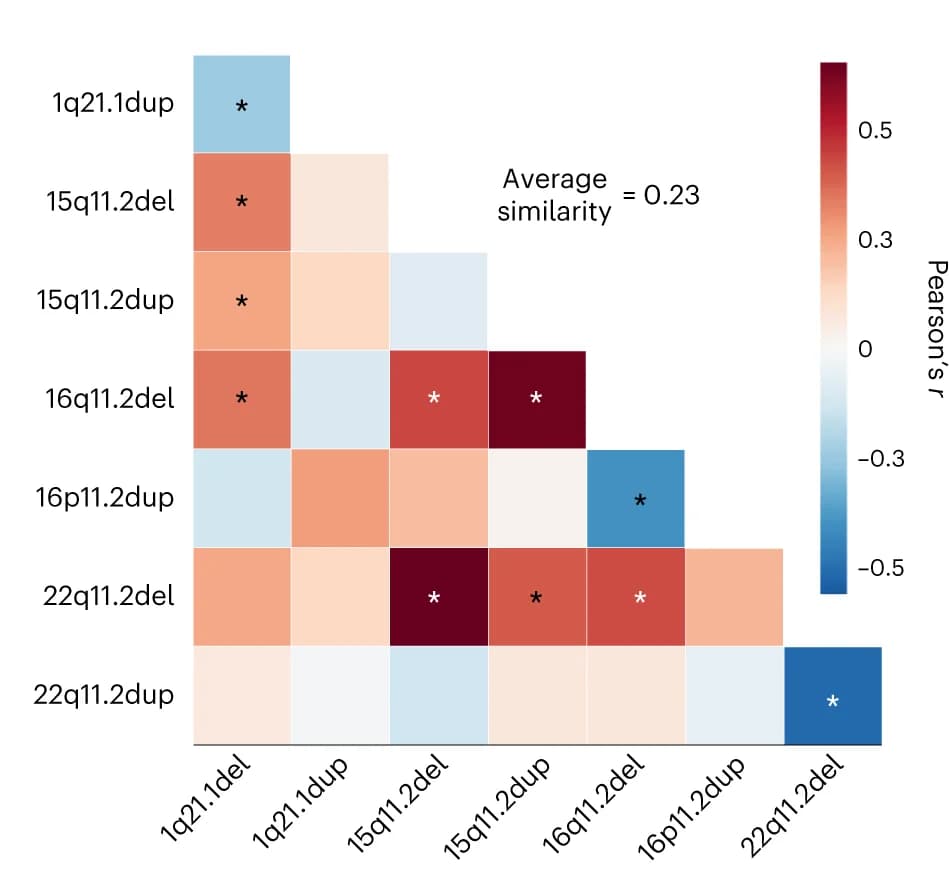 Open access visualization of Heatmap, Brain Map, CNV, Pearson’s Correlations, Brain Volumes