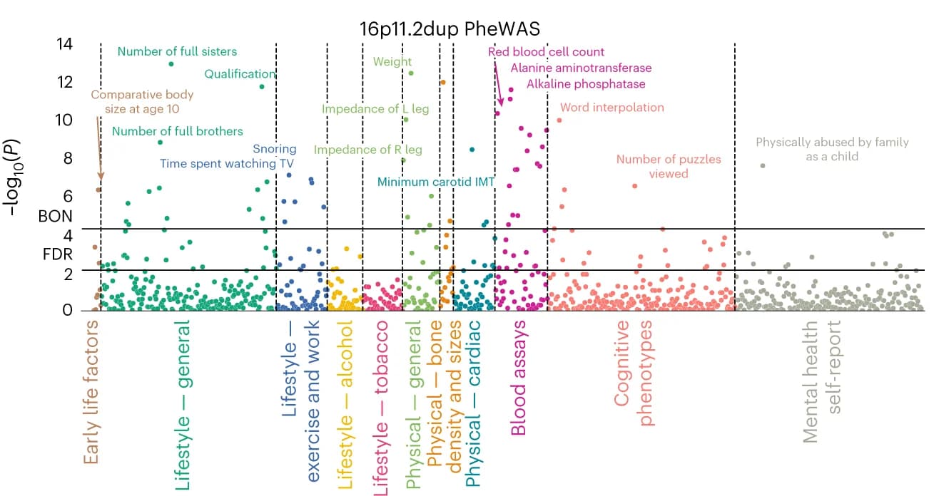Open access visualization of Manhattan Plot, PheWAS, CNV-specific Intermediate Phenotype, Pearson’s Correlations, 16p11.2 Duplication