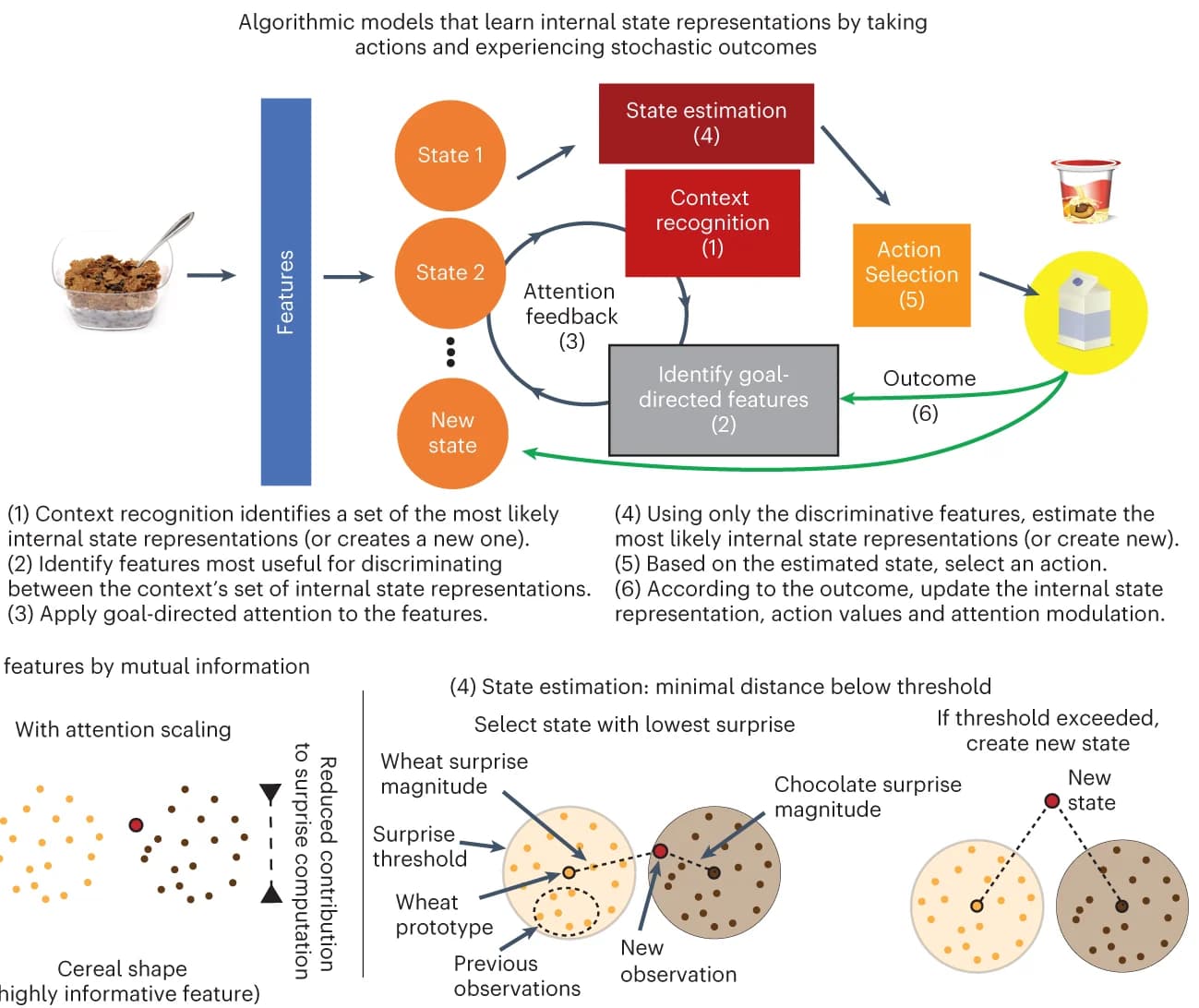 Open access visualization of Workflow, Flowchart, Illustration, Scatter Plot, ProDAtt Model