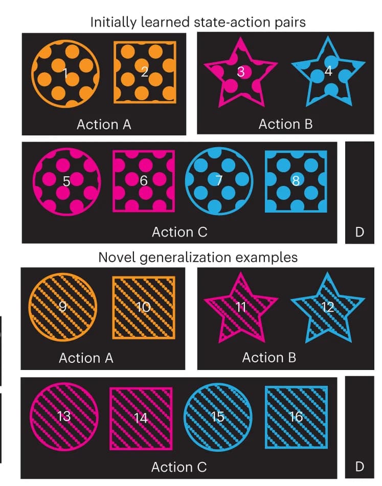 Open access visualization of Illustration, Learned Examples, Generalization, Action