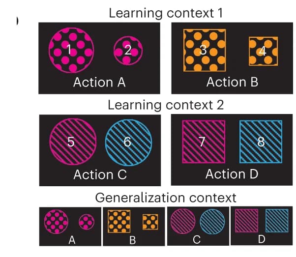 Open access visualization of Illustration, Context Generalization, State-Action Contingencies, Latent States