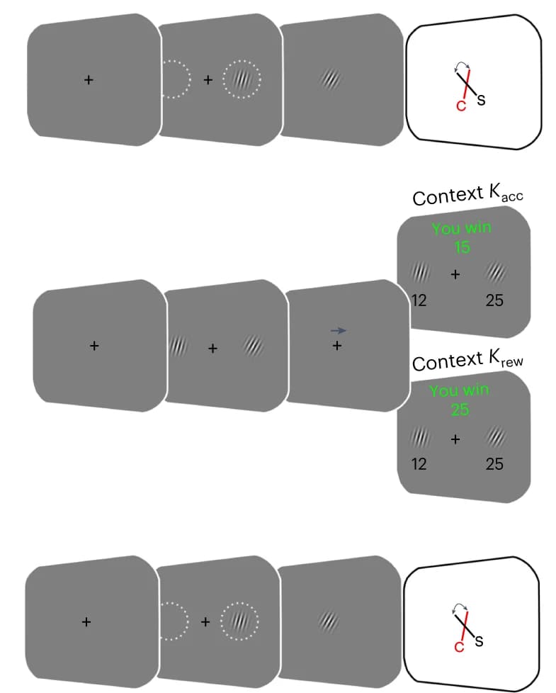 Open access visualization of Workflow, Illustration, Experiment 1, Estimation Task, Decision Task