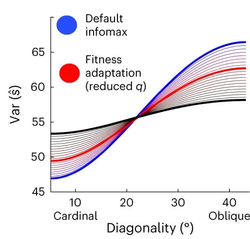 Open access visualization of Line Plot, Power-law Encoding, Estimation Variability, Sensitivity, Encoding Accuracy