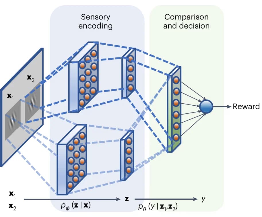 Open access visualization of Workflow, Flowchart, Deep Neural Network, Retinal Inputs, Latent Codes