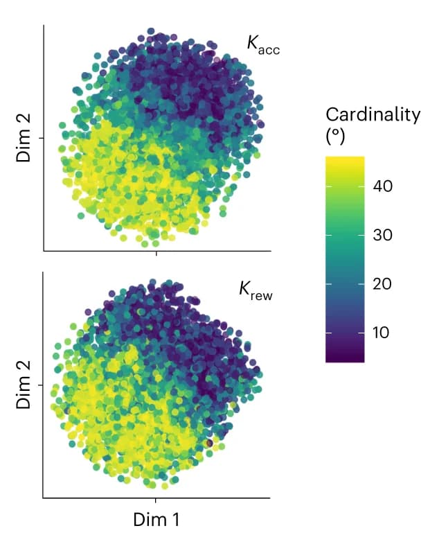 Open access visualization of Scatter Plot, t-SNE Analysis, Information Bottleneck, Encoder Layer, Cardinality