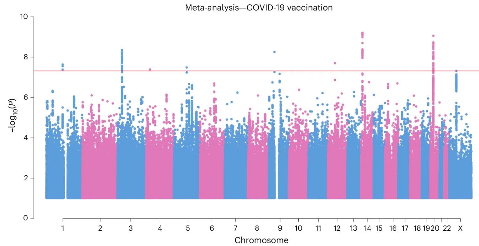 Open access visualization of Manhattan Plot, COVID-19, Vaccination, Meta-analysis, Genetic Variants