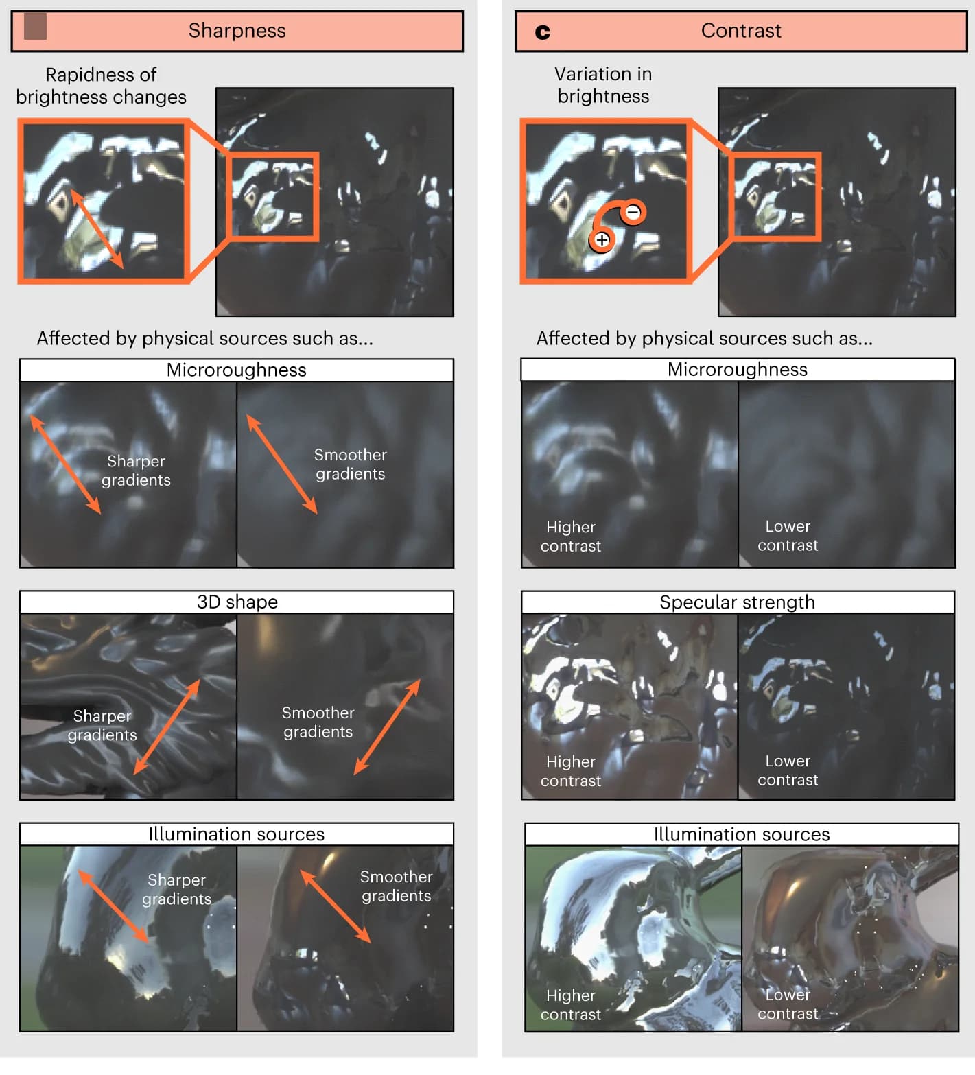 Open access visualization of Photo, Surface Appearance, Generative Processes, Specular Highlights, Surface Reflectance
