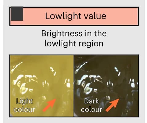 Open access visualization of Photo, Brightness, Highlight Region, Surface Absorption, Surface Reflectance