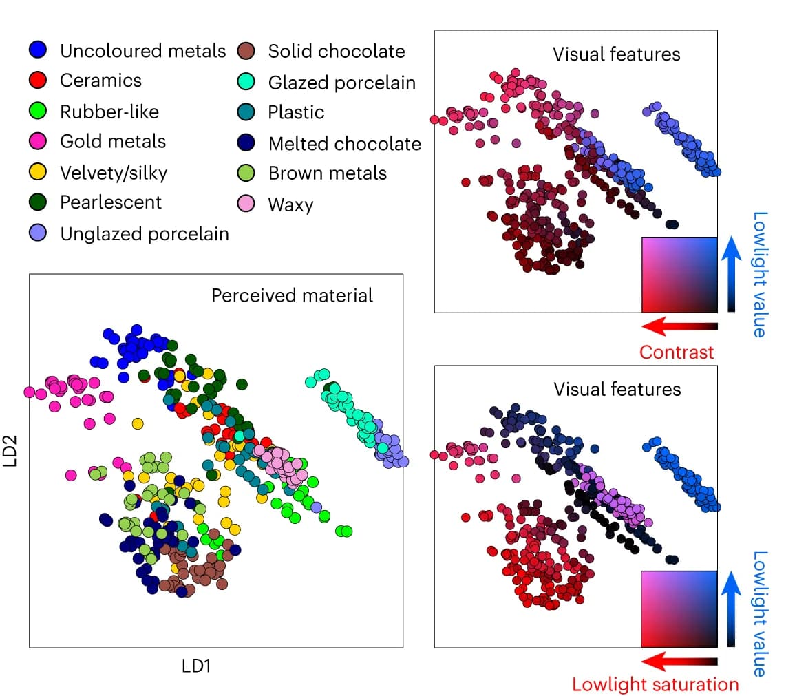 Open access visualization of Scatter Plot, Stimuli, Linear Discriminant Space, Category, Visual Features