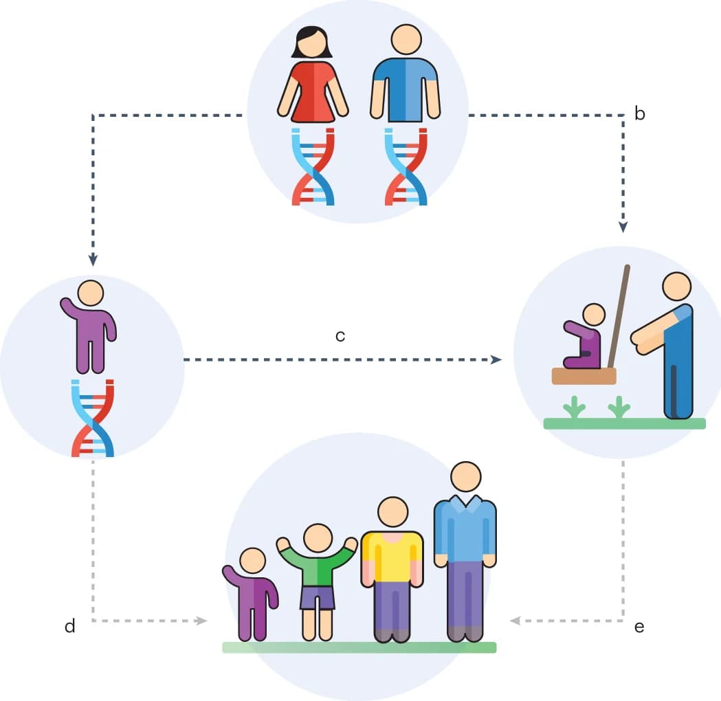 Open access visualization of Workflow, Flowchart, Illustration, Parental Genes, Parenting