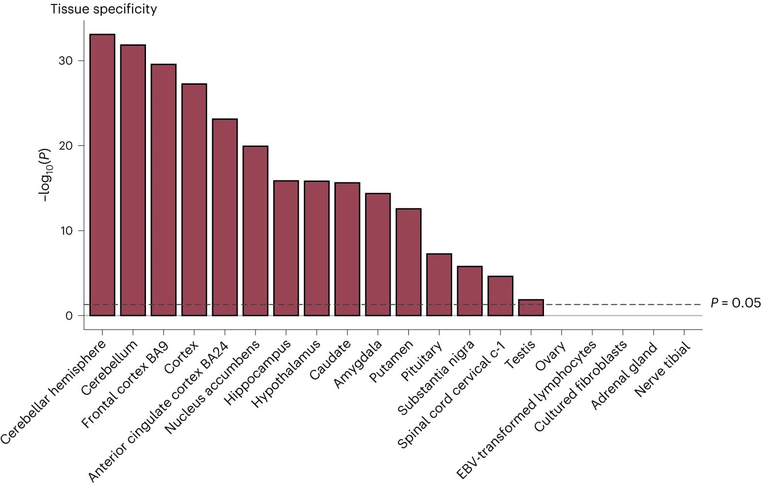 Open access visualization of Bar Plot, MAGMA, Tissue Specificity Analysis, Multivariate GWAS, Brain Tissues