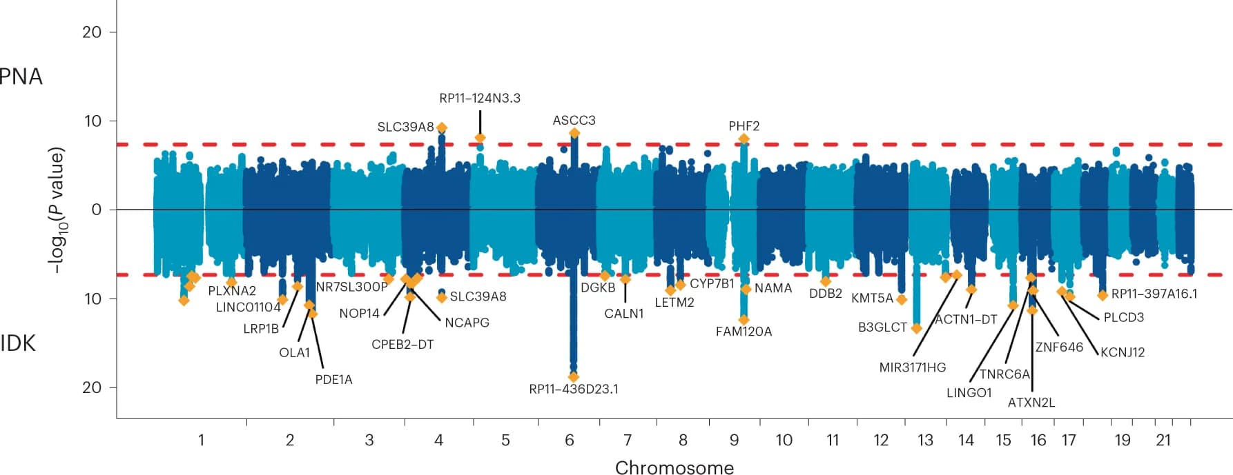Open access visualization of Manhattan Plot, Scatter Plot, Miami Plot, GWAS, PNA Factor