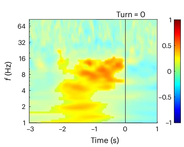 Open access visualization of Heatmap, Spectrogram, Time-Frequency Activity, Turns, Theta Activity