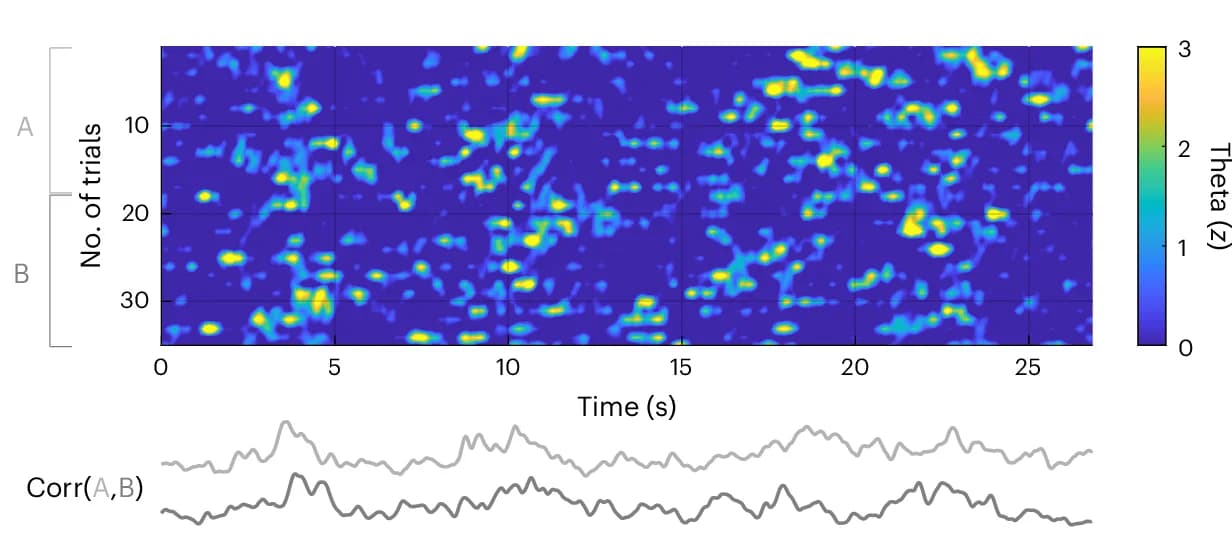 Open access visualization of Heatmap, Line Plot, Temporal Consistency, Theta Dynamics, Correlation
