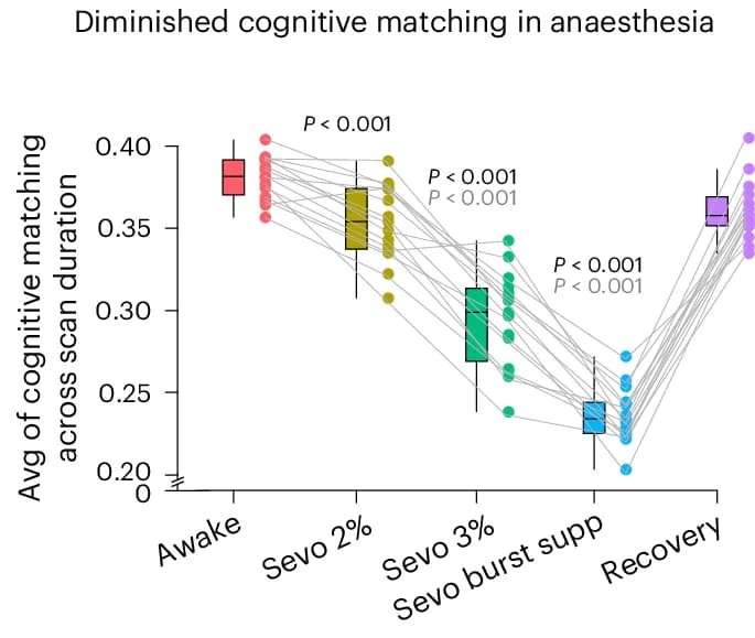 Open access visualization of Box Plot, Scatter Plot, Line Plot, Cognitive Matching Score, Box Plots