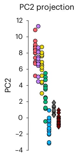 Open access visualization of Scatter Plot, PCA, Human, Macaque, Functional Connectivity