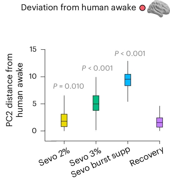 Open access visualization of Box Plot, Human, Functional Connectivity, Euclidean Distance, Principal Component Analysis