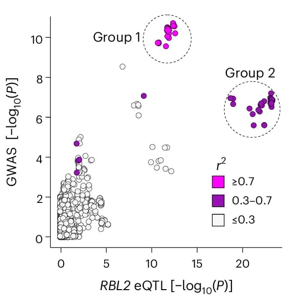 Open access visualization of Scatter Plot, Volcano Plot, GWAS, Age of Walking, eQTL