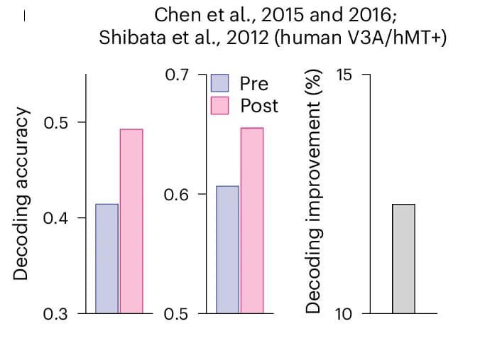 Open access visualization of Bar Plot, Clustered, Stimulus Decoding Accuracy, Human Brain, Visual Training