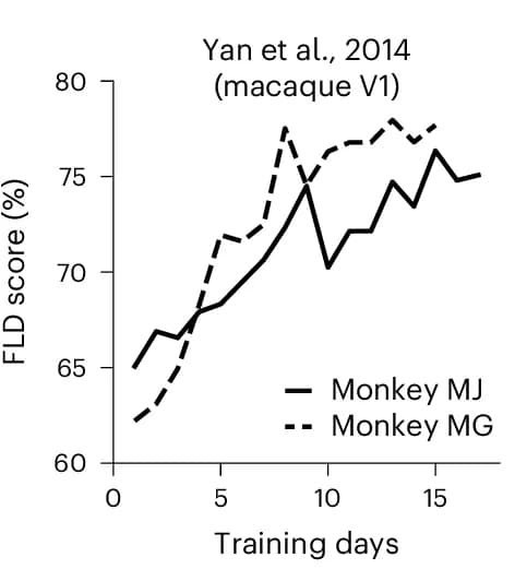 Open access visualization of Line Plot, Decoding Scores, Fisher’s Linear Discriminant, Monkey V1, Visual Training