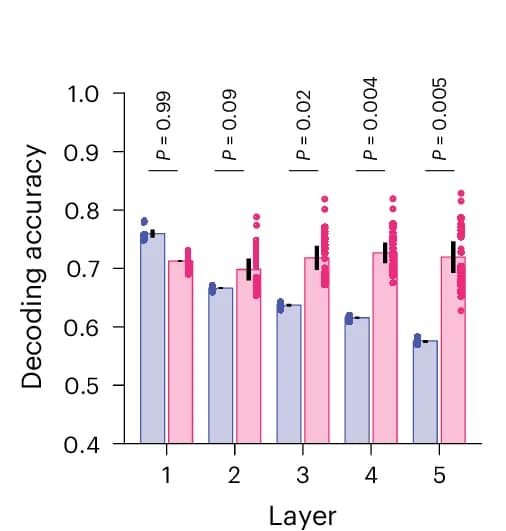 Open access visualization of Bar Plot, Clustered, Error Bars, Scatter Plot, Decoding Accuracy