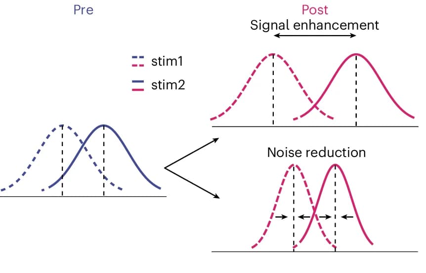 Open access visualization of Line Plot, Density Plot, Signal Detection Theory, Signal Enhancement, Noise Reduction