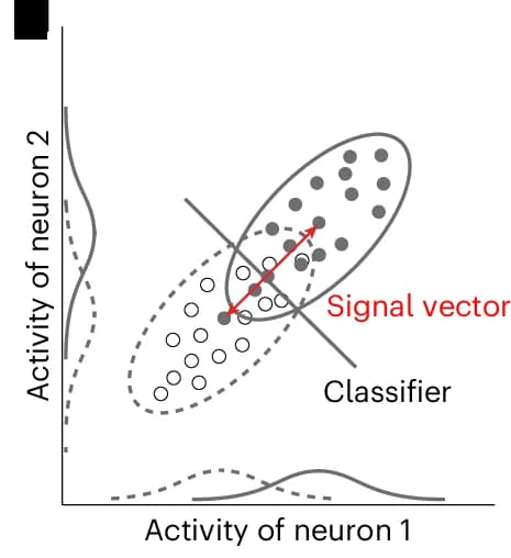 Open access visualization of Scatter Plot, Density Plot, Population Responses, Neural Manifolds, Noise Correlations